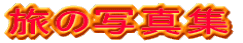 ���̎ʐ^�W